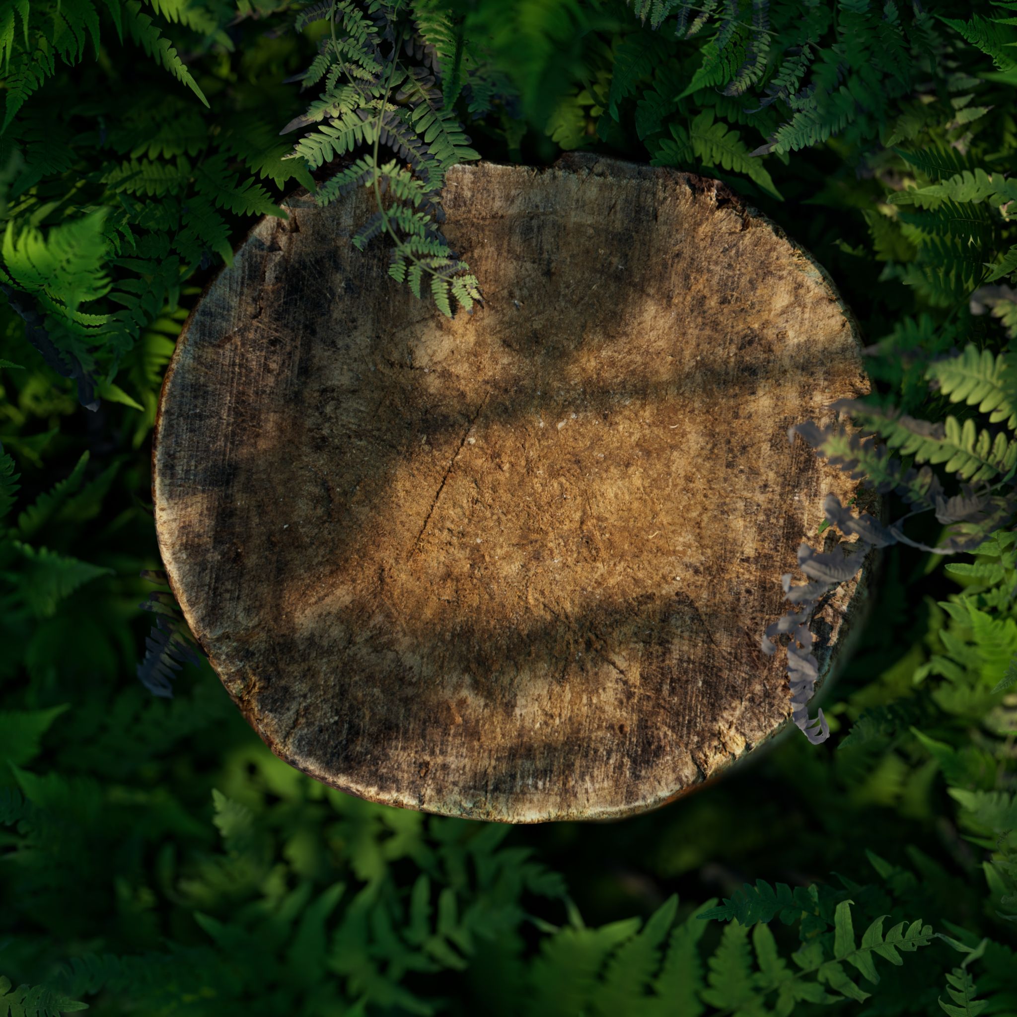 landscape spotlights