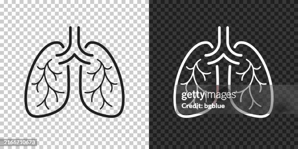 lungs. icon for design on blank background - tb testing stock illustrations
