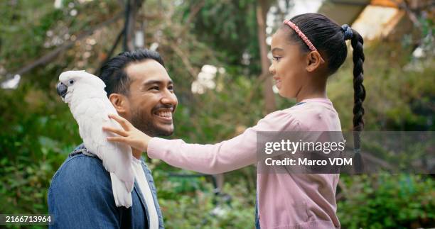 petting, bird and child with dad in zoo, outdoor and bonding of girl with parent, love and smile of family, touch, father and daughter in forest with parrot for learning of species and animal - environmentalist stock pictures, royalty-free photos & images