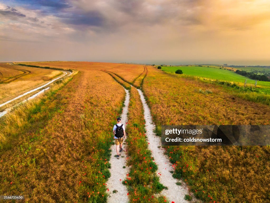 High angle view of man walking on path through wildflower meadow at golden hour