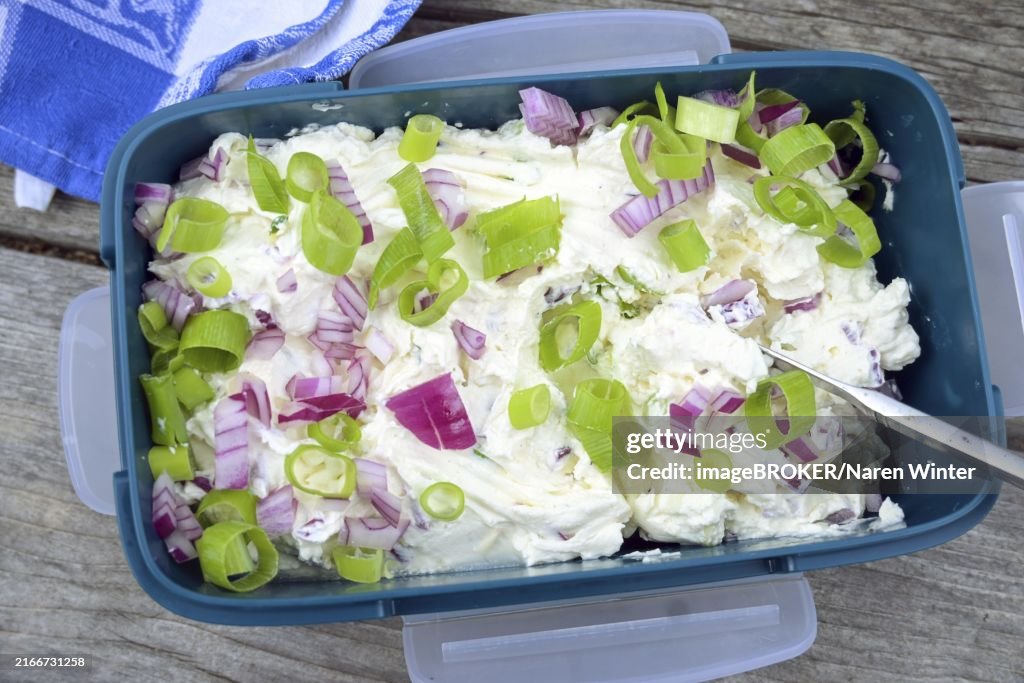 Cream cheese dip with red onions and green spring onions in a blue plastic bowl for a picnic party, high angle view from above, selected focus