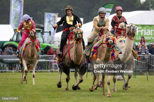 Camel Racing Service 4,727 Camel Racing Stock Photos, High-Res Pictures, and Images - Getty ...
