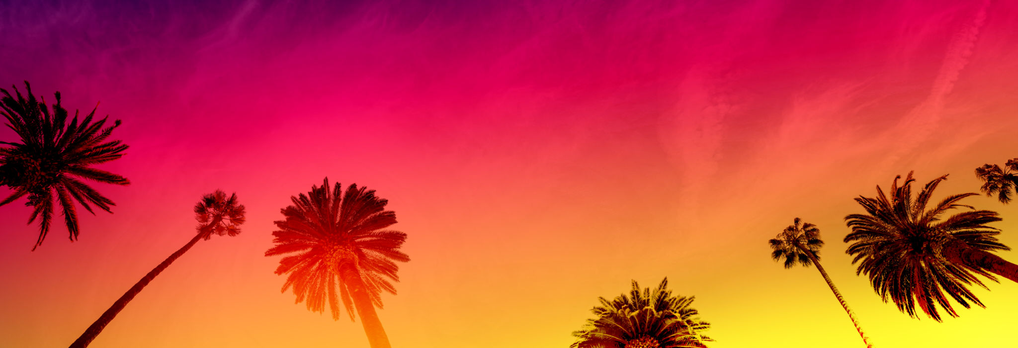 los angeles sunshine