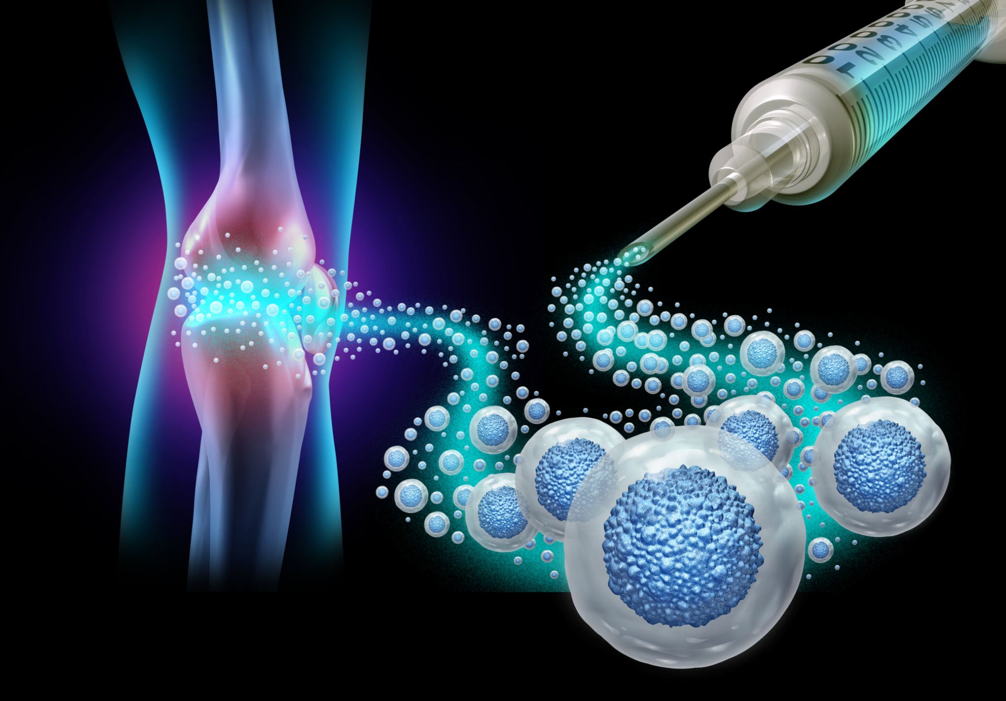 mesenchymal stem cells