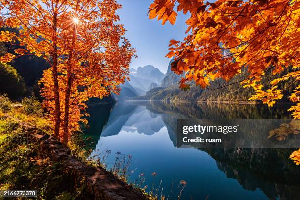 herbst am gosausee im salzkammergut, österreich - landschaftspanorama stock-fotos und bilder