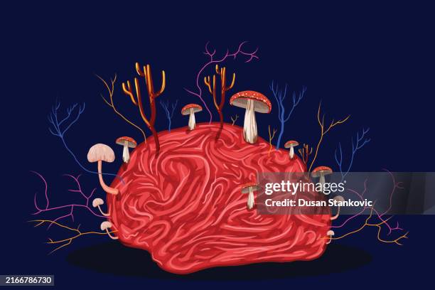 therapeutic psychedelic medicine concept - fungus stock illustrations