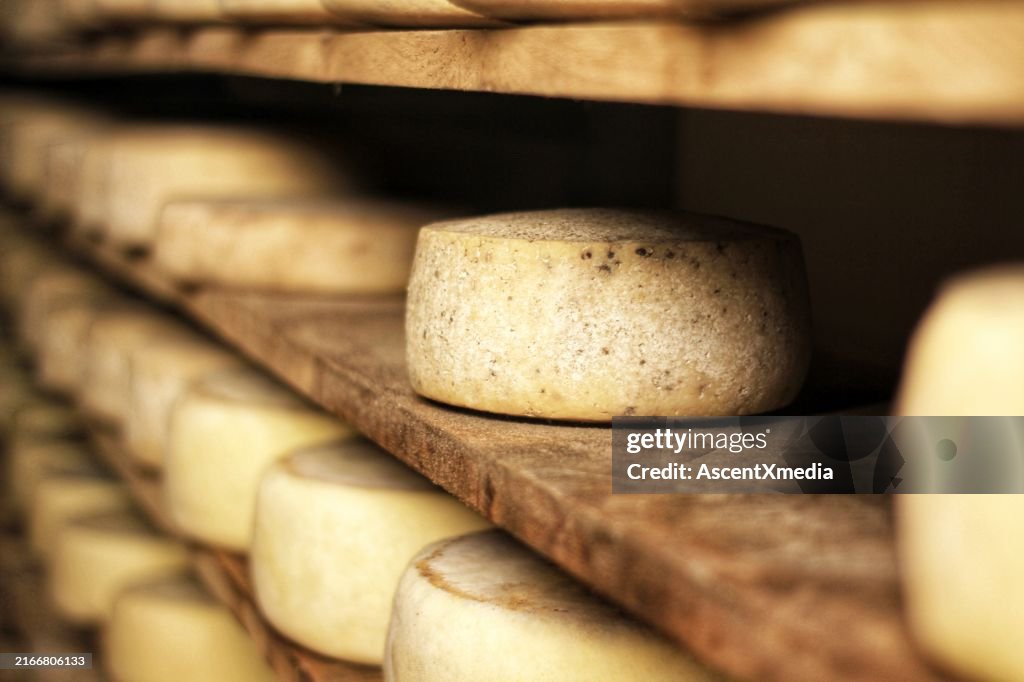 Cheese production in Italy, cheese rounds