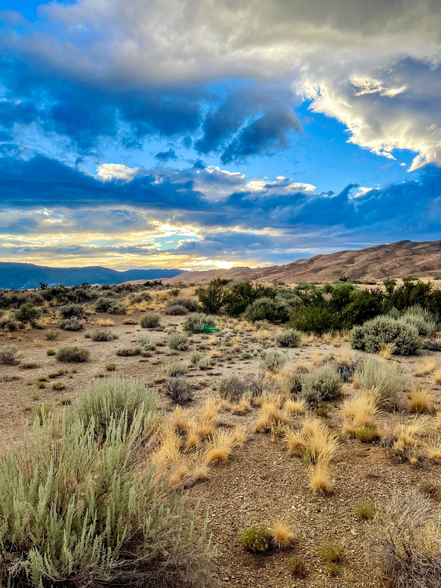nevada landscape