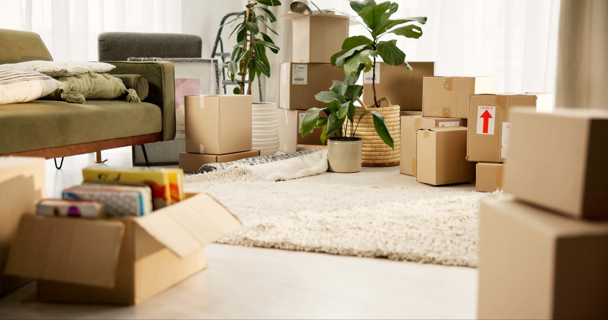 moving day