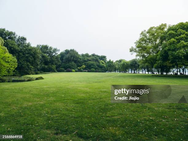 lawn in the park - natural parkland stock pictures, royalty-free photos & images