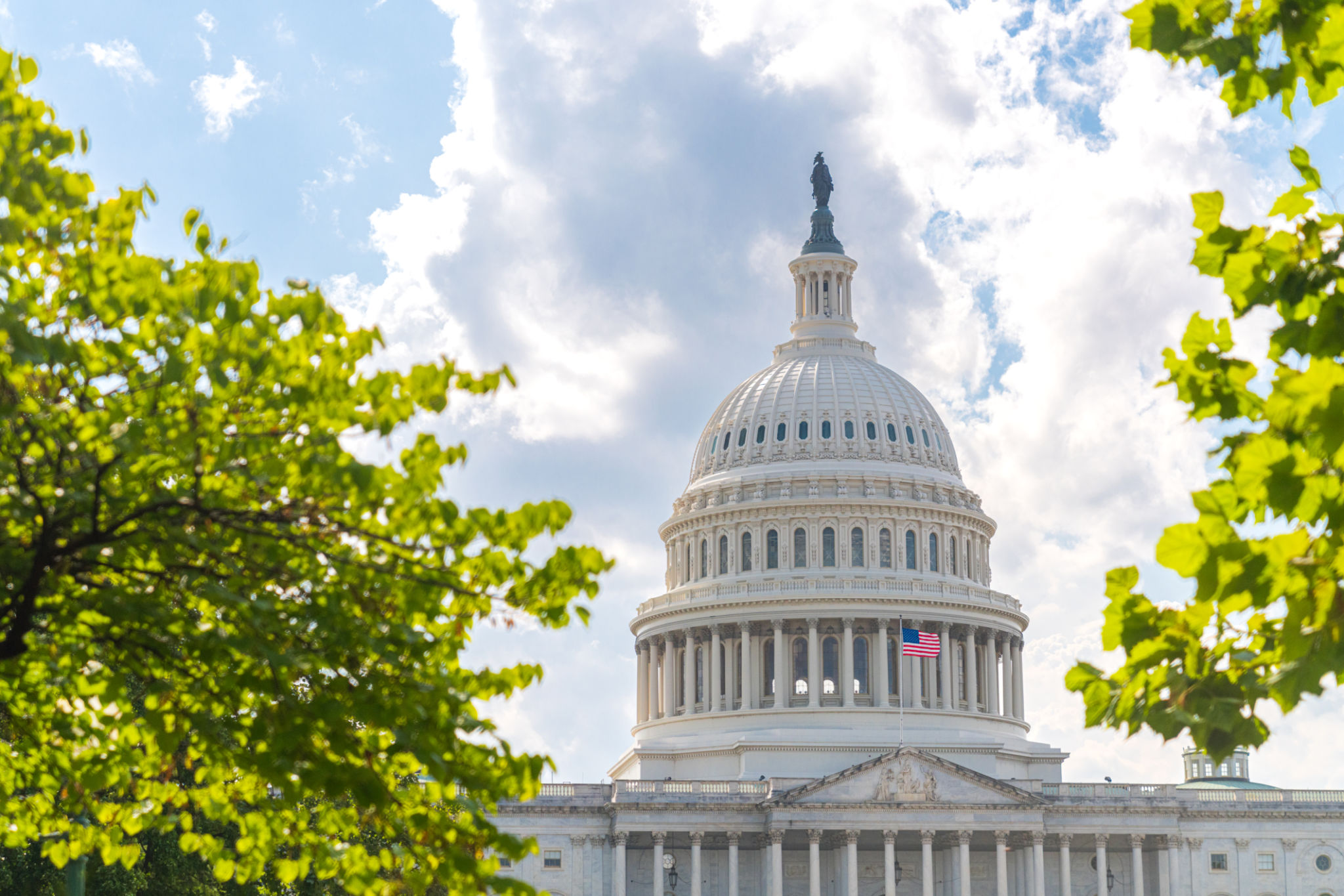 eco-friendly campaign