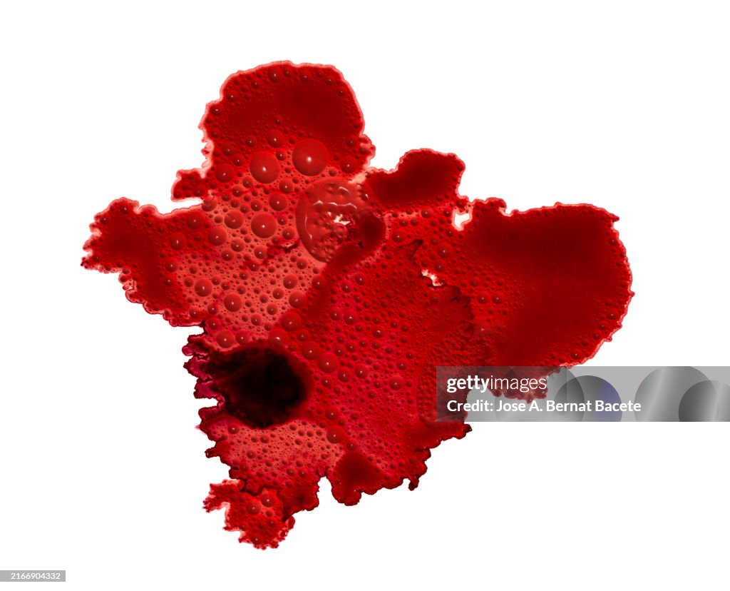 A drop of blood with raised bubbles spreads over a white background.