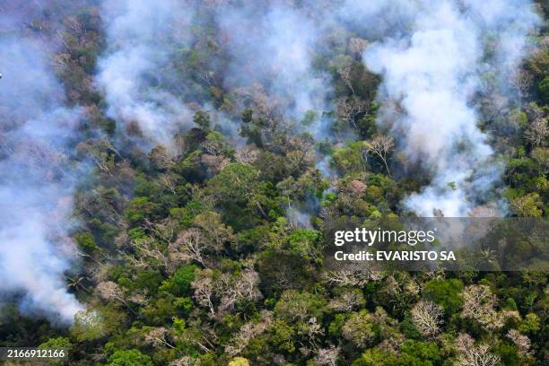 Aerial view of an area of Amazon rainforest deforested by illegal fire in the municipality of Labrea, Amazonas State, Brazil, taken on August 20,...