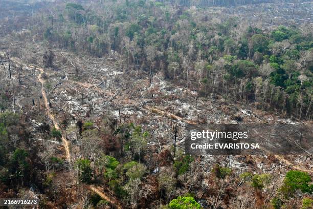 Aerial view of an area of Amazon rainforest deforested by illegal fire in the municipality of Labrea, Amazonas State, Brazil, taken on August 20,...