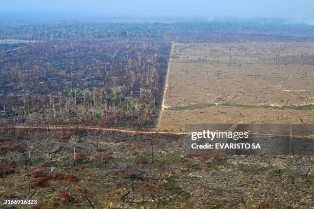 Aerial view of an area of Amazon rainforest deforested by illegal fire in the municipality of Labrea, Amazonas State, Brazil, taken on August 20,...