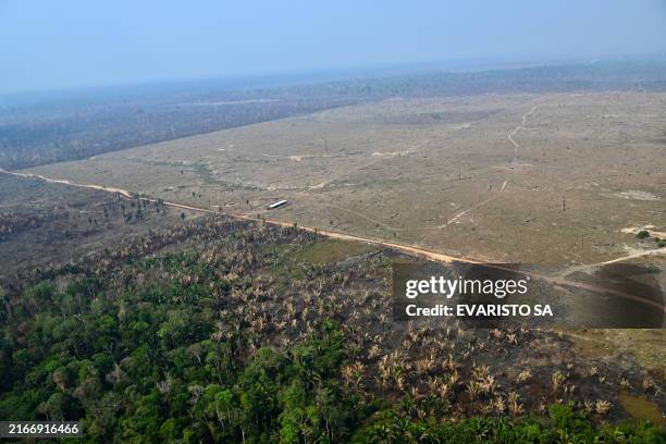 Aerial view of an area of Amazon rainforest deforested by illegal fire in the municipality of Labrea, Amazonas State, Brazil, taken on August 20,...