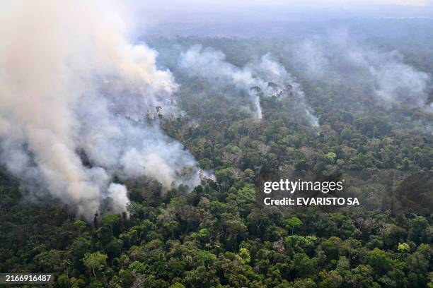 Aerial view of an area of Amazon rainforest deforested by illegal fire in the municipality of Labrea, Amazonas State, Brazil, taken on August 20,...
