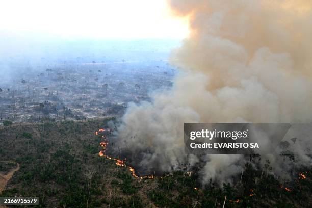 Aerial view of an area of Amazon rainforest deforested by illegal fire in the municipality of Labrea, Amazonas State, Brazil, taken on August 20,...