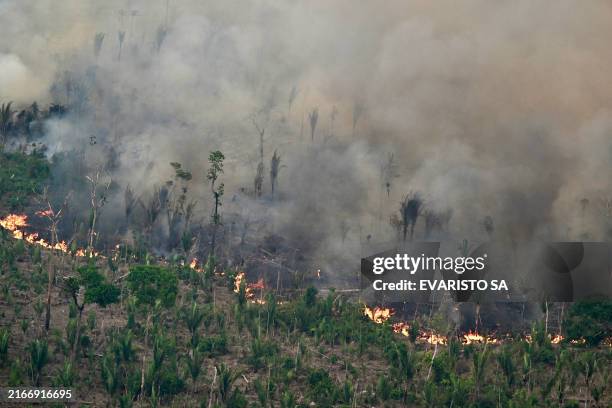 Aerial view of an area of Amazon rainforest deforested by illegal fire in the municipality of Labrea, Amazonas State, Brazil, taken on August 20,...