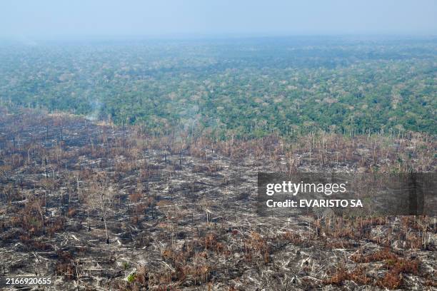 Aerial view of an area of Amazon rainforest deforested by illegal fire in the municipality of Labrea, Amazonas State, Brazil on August 20, 2024. ....