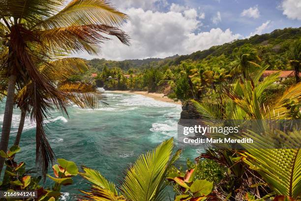 the coastline of blanchisseuse in trinidad - trinidad and tobago stock pictures, royalty-free photos & images