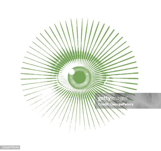 close up of eye with frightened expression - surprised eyes stock illustrations