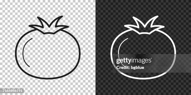 tomato. icon for design on blank background - tomato stock illustrations