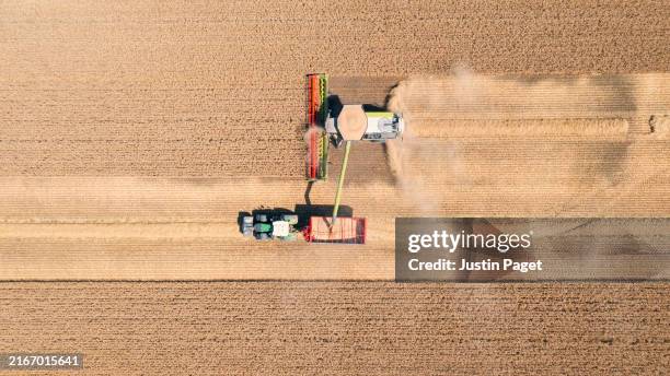 drone/a view of agricultural harvesting in the uk - combine harvester stock pictures, royalty-free photos & images