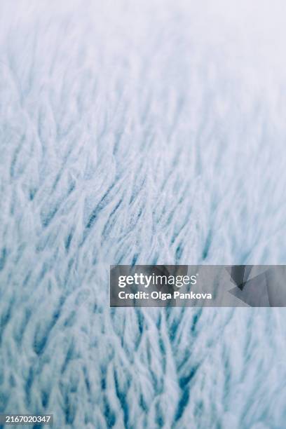 fluffy texture in cool tones, winter and christmas background - wool carpet stock pictures, royalty-free photos & images