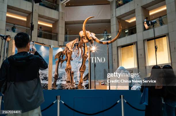 Visitors take photos of a 3.5-meter-tall 000-year-old woolly mammoth displayed during the "Giants of The Ice Age: Travel To Prehistoric Earth With...