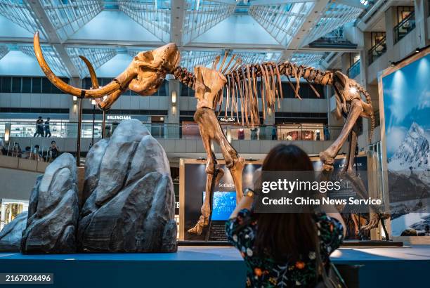 Visitor takes a photo of a 3.5-meter-tall 000-year-old woolly mammoth displayed during the "Giants of The Ice Age: Travel To Prehistoric Earth With...