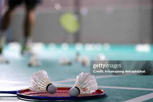 Nok Racket 1,590 Badminton Serve Stock Photos, High-Res Pictures, and Images ...