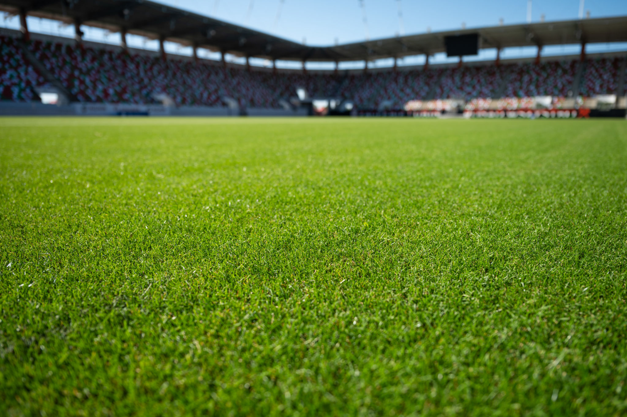 soccer field sunny