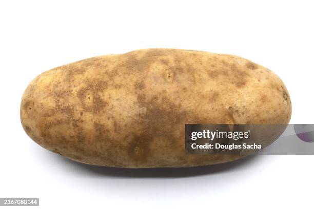 ripe potato root - patata fotografías e imágenes de stock
