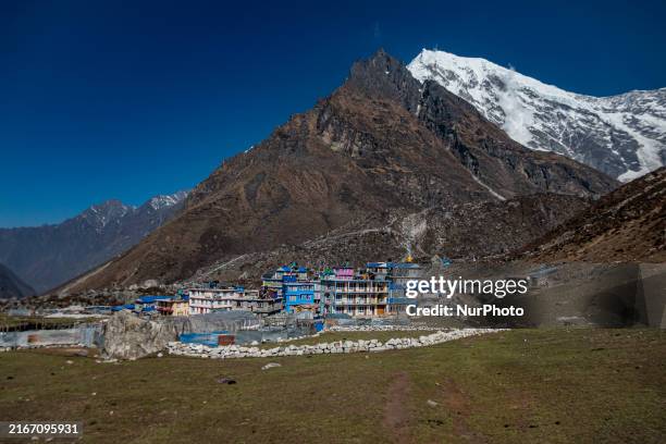 Local women with traditional clothes are farming, working on the potato field. The remote Himalayan village of Kyanjin Gompa is located in the...