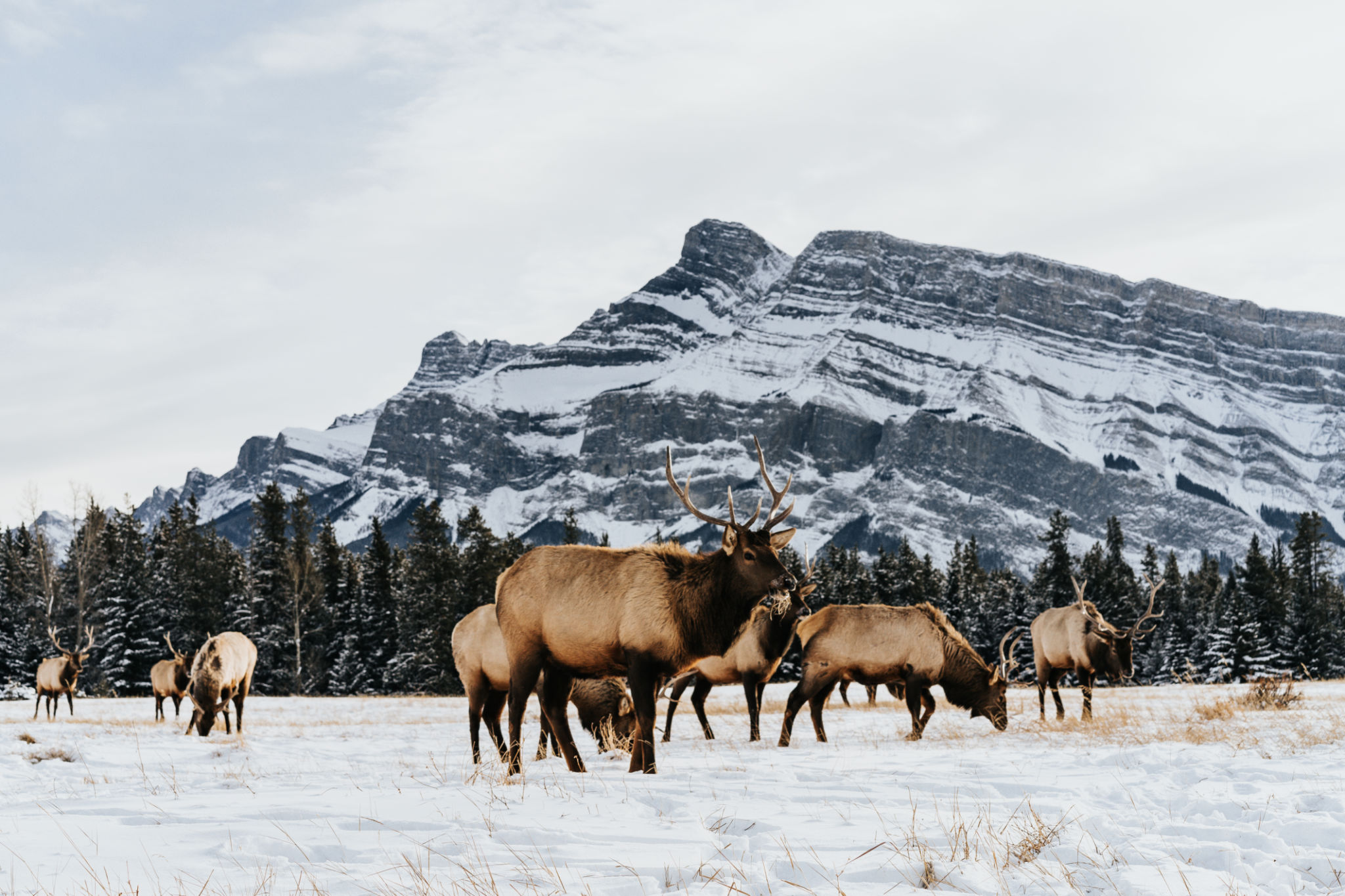 winter canada