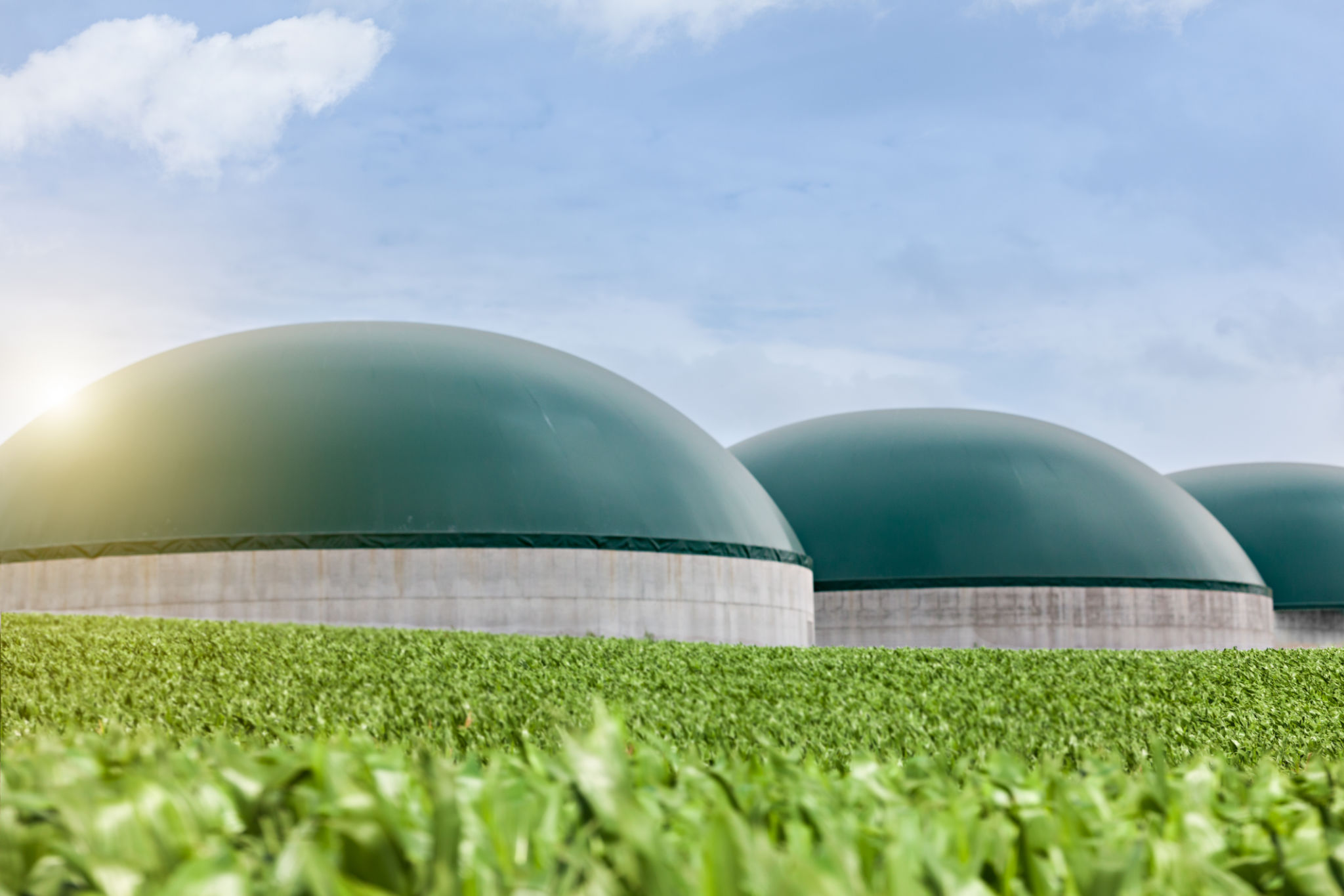 biogas plant