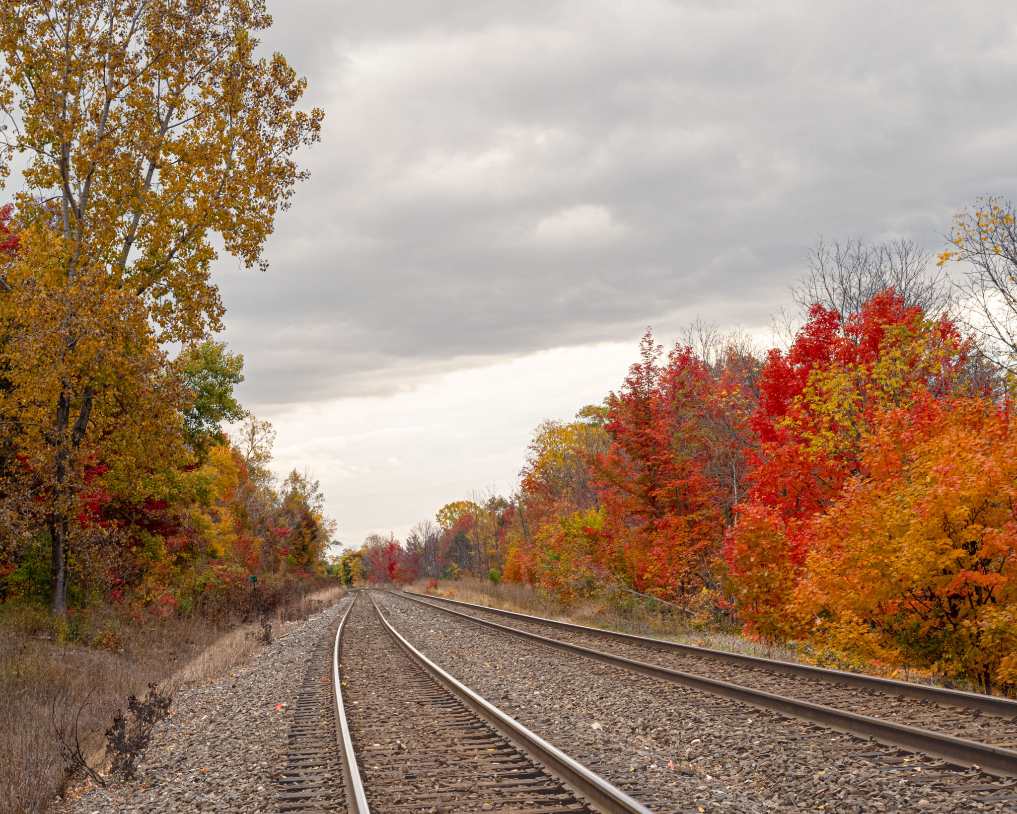 railway ecosystem