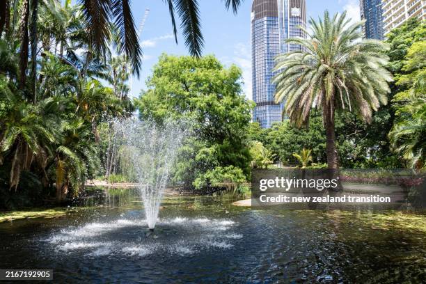 a fountain in oakman's lagoon in the city botanic gardens with modern buildings in the background on a clear day, brisbane, qld, australia - brisbane stock pictures, royalty-free photos & images