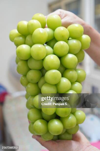 shine muscat green grape fruit - white grape stock pictures, royalty-free photos & images