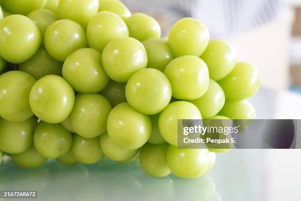 July Muscat 892 Muscat Grapes Stock Photos, High-Res Pictures, and Images - Getty ...