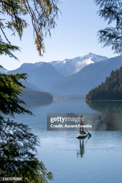 woman sup boards across mountain lake, whistler - paddleboard stock pictures, royalty-free photos & images
