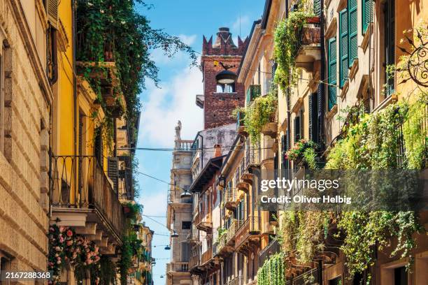 in the old town of verona, near the piazza delle erbe, there is a narrow street with a tall brown building in the background during the summer months. the street is lined with green ivy plants. - verona italy stock pictures, royalty-free photos & images
