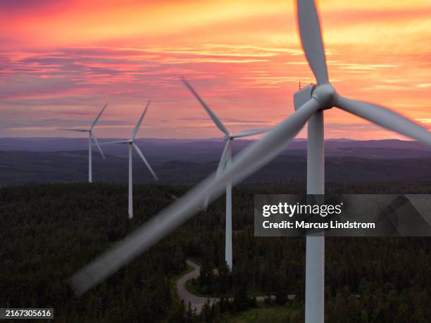 aerial view of a forest landscape with wind turbines at sunset - windturbine stockfoto's en -beelden
