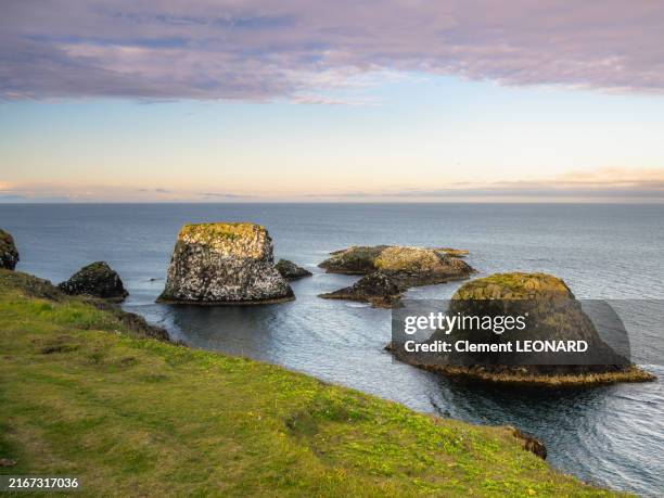 Arnarstapi Rocks 76 Arnarstapi Coastal Park Stock Photos, High-Res Pictures, and Images ...