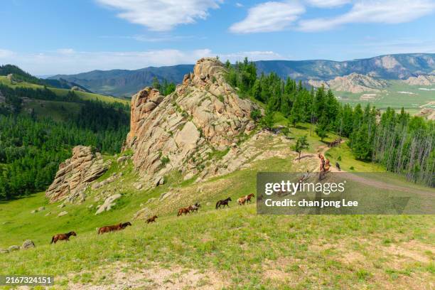 tierwanderungslandschaft im terlji-nationalpark, mongolei - mongolei stock-fotos und bilder