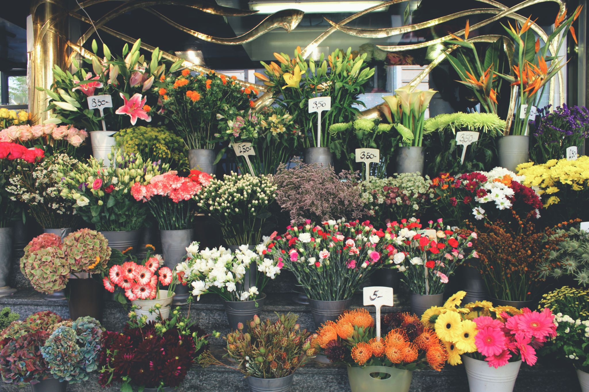 flower shop