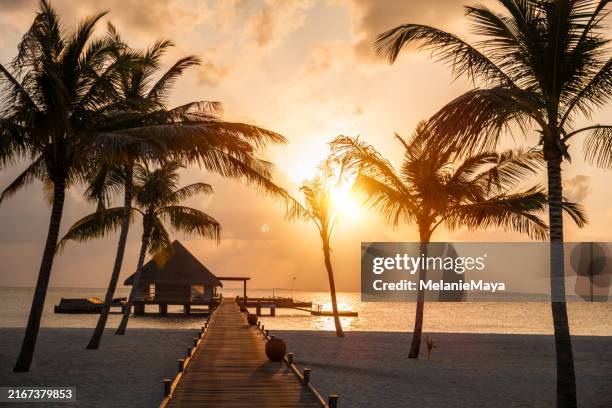 maldives sunset at the beach with wood jetty and palm trees during golden hour evening - bungalow stock pictures, royalty-free photos & images