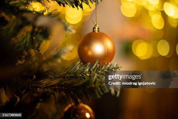 weihnachtsschmuck am weihnachtsbaum - ast pflanzenbestandteil stock-fotos und bilder