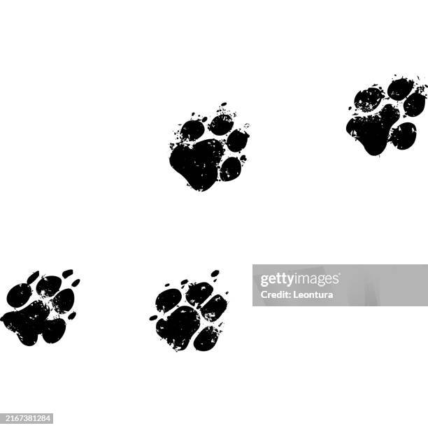 ilustrações de stock, clip art, desenhos animados e ícones de dog prints - pegada de pata de animal